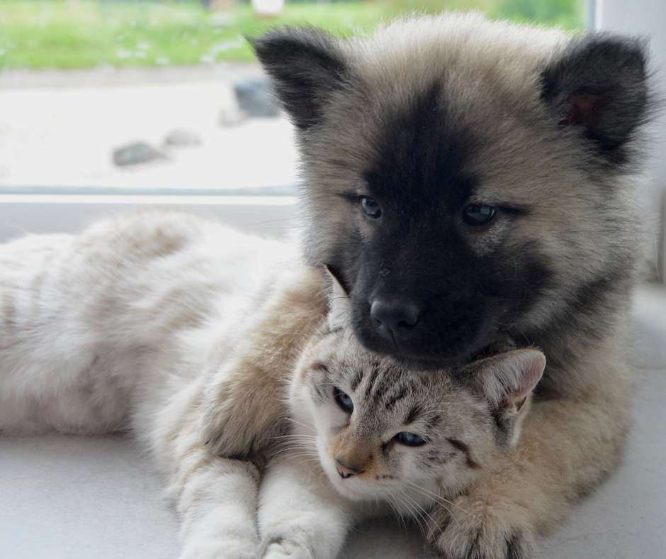 Sleepy time after a Reiki session